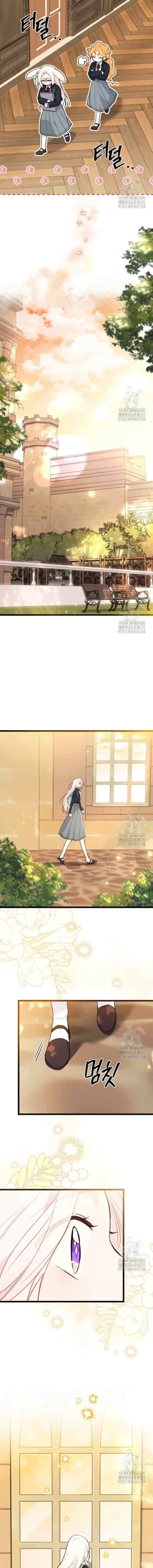 The Symbiotic Relationship Between the Rabbit and the Black Panther chapter 126 halaman 17