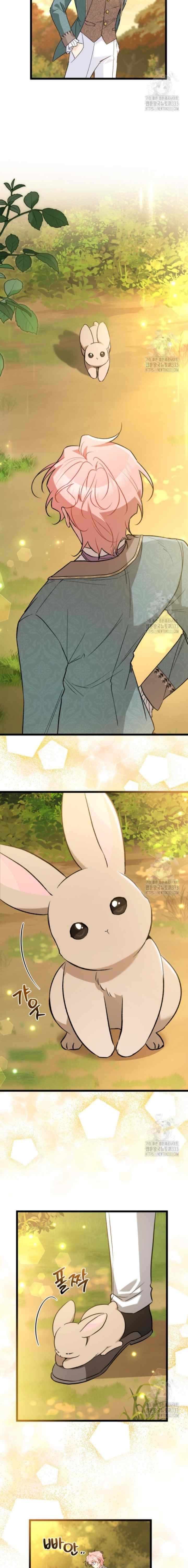 The Symbiotic Relationship Between the Rabbit and the Black Panther chapter 136 halaman 17
