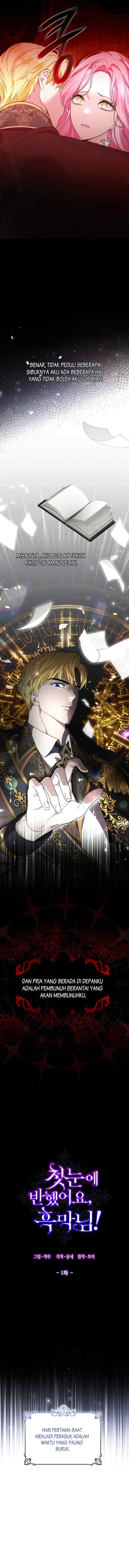 I Fell in Love at First Sight, Mr. Villain! chapter 1 halaman 7