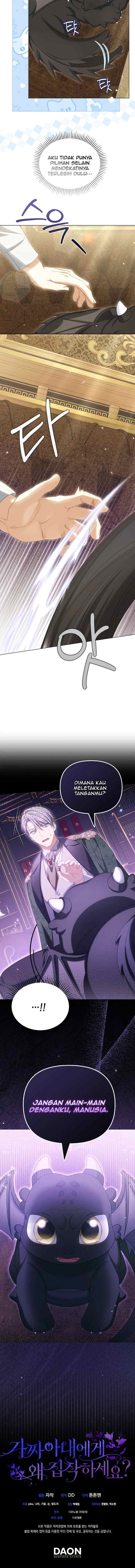 Why Are You Obsessed With Your Fake Wife? chapter 41 halaman 11