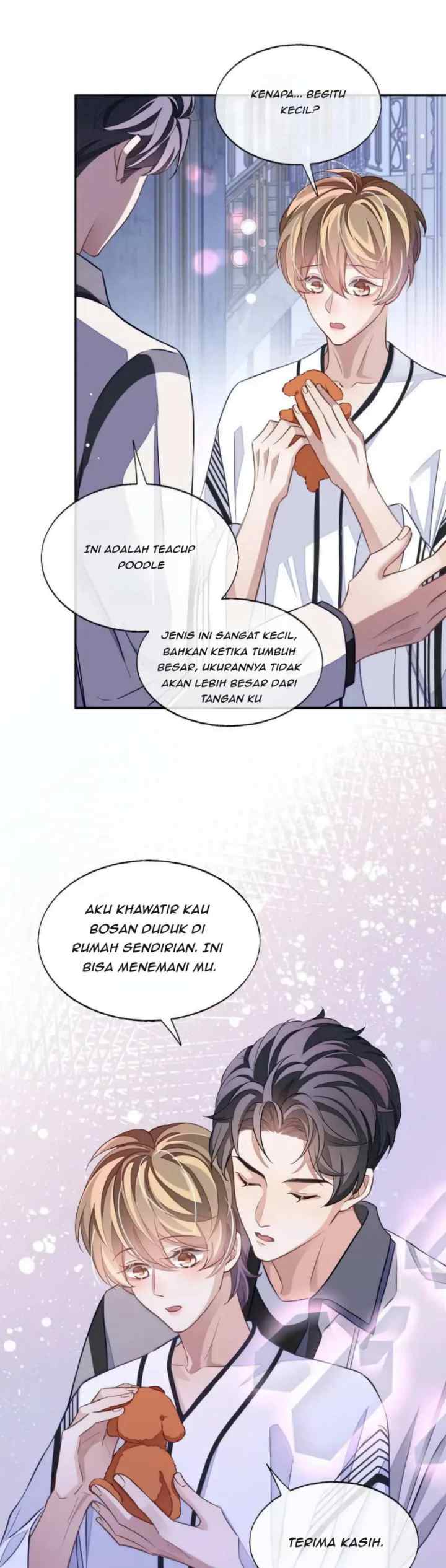 Little Wife, How Dare You Say Break Up? chapter 52 halaman 13