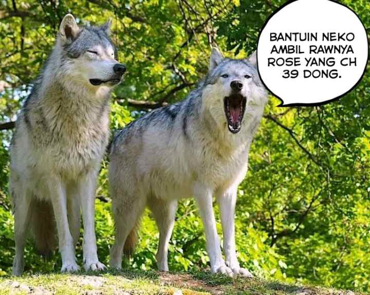 Il était une fois : Zombie edition chapter 2 halaman 17