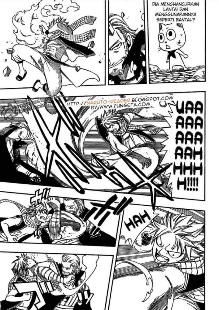 Fairy Tail chapter 205 halaman 12