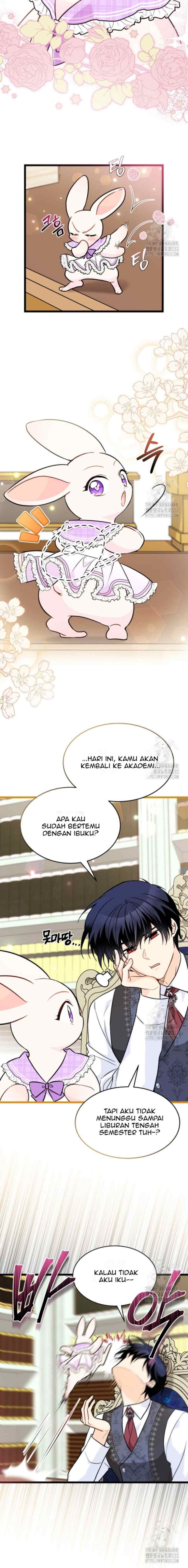 The Symbiotic Relationship Between the Rabbit and the Black Panther chapter 135 halaman 15