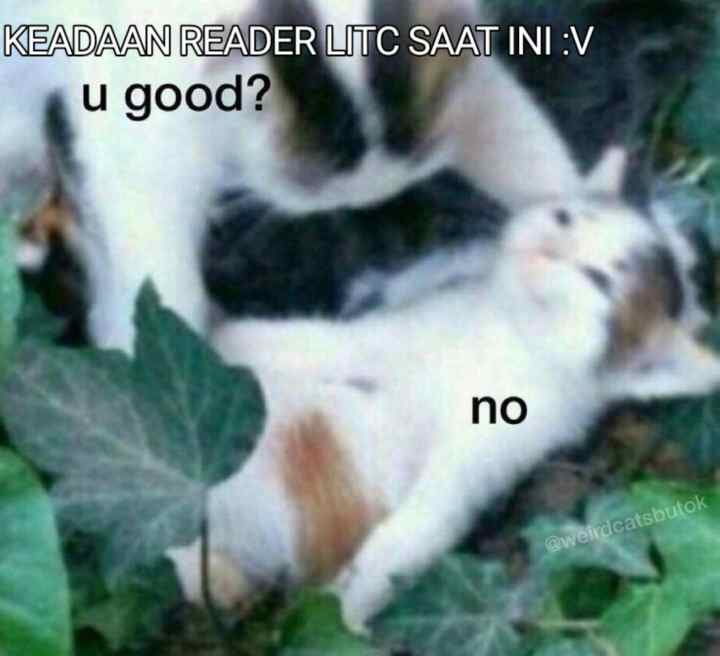 Lost in the Cloud chapter 101 halaman 19