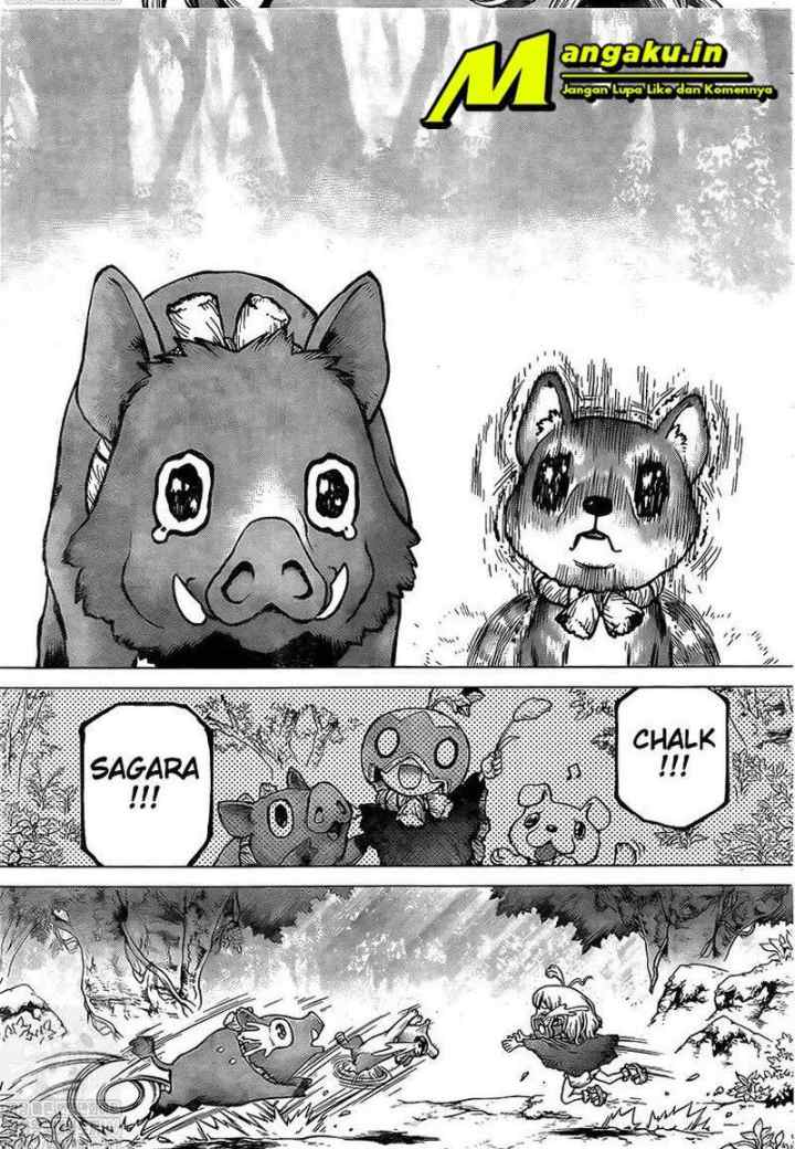 Dr. Stone chapter 212 halaman 8