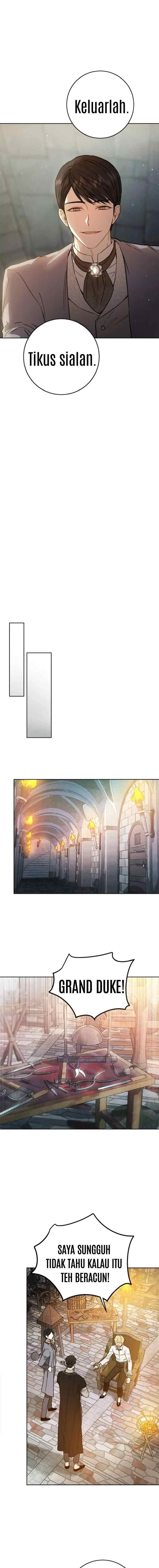 The Princess's Double Life chapter 35 halaman 13