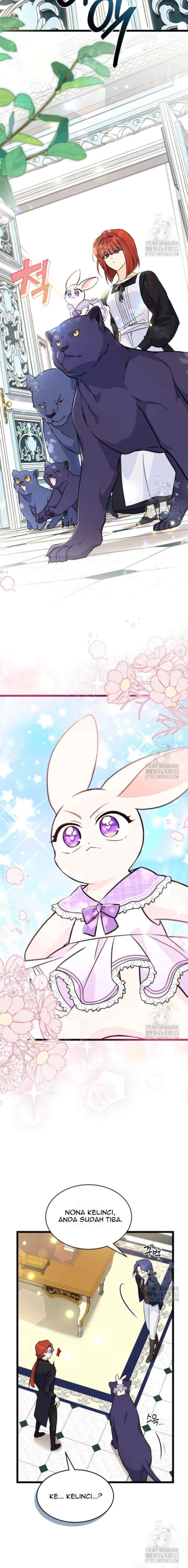 The Symbiotic Relationship Between the Rabbit and the Black Panther chapter 135 halaman 11