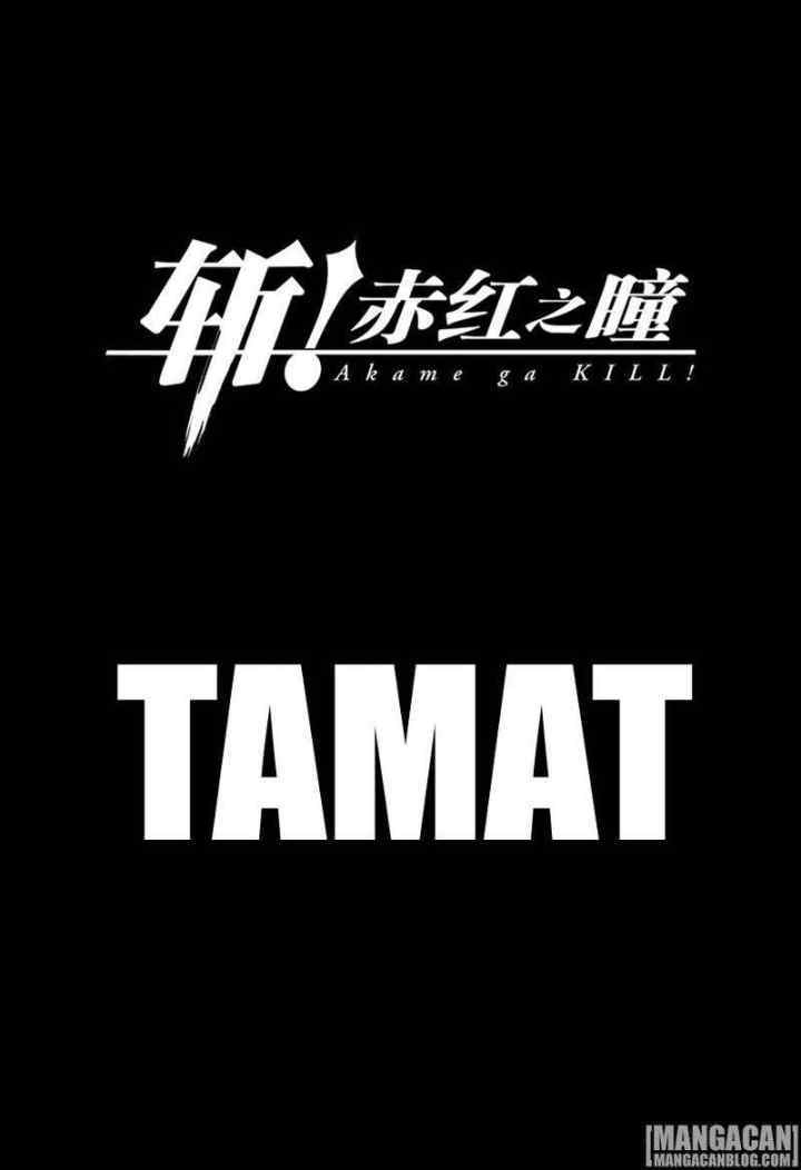 Akame ga Kill! chapter 78 halaman 19