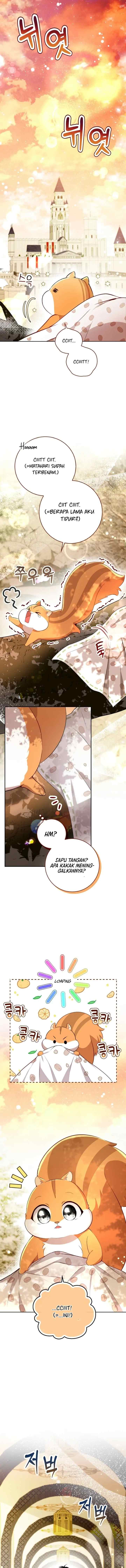 Baby Squirrel is Good at Everything chapter 53 halaman 11