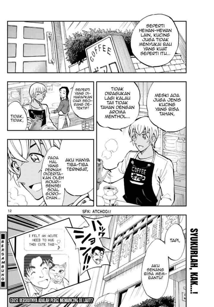 Detective Conan: Zero's Tea Time chapter 17 halaman 12