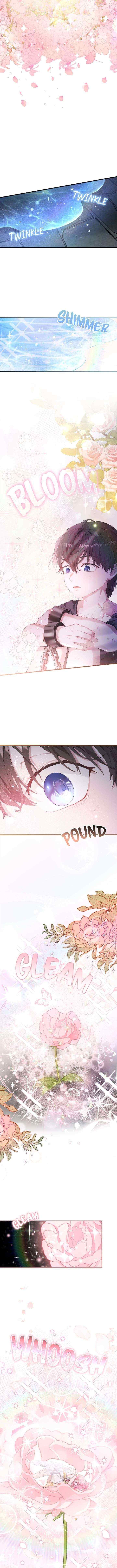 Fairy, Please Contract With Me chapter 1 halaman 10
