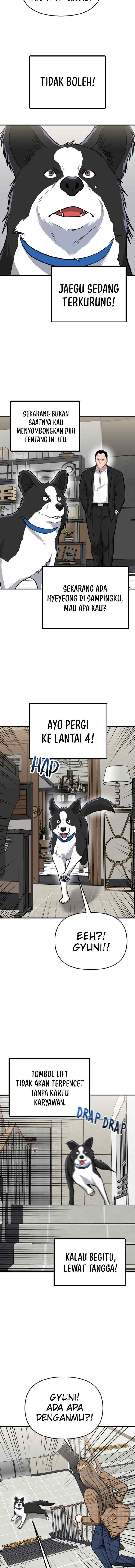 Father Like A Dog chapter 15 halaman 14