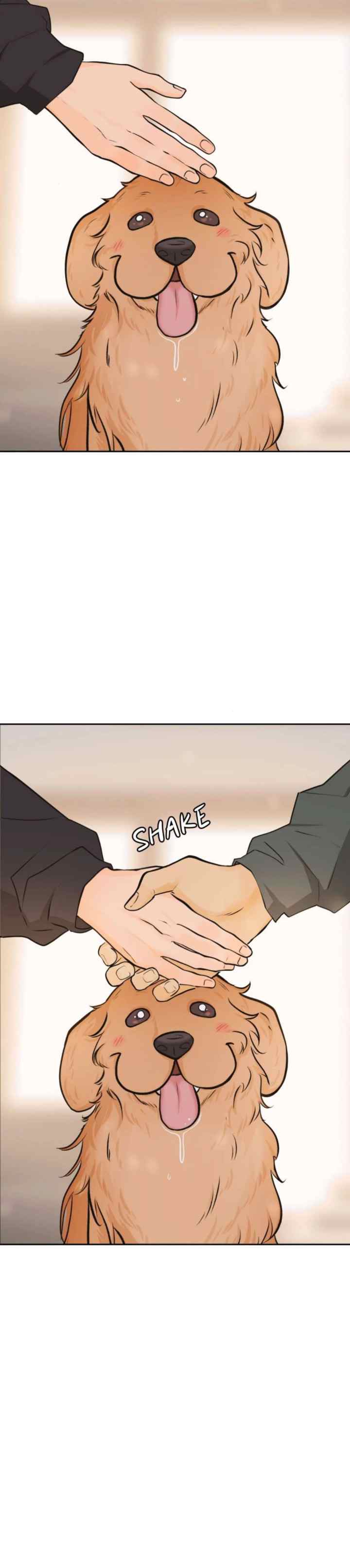 Golden Hour chapter 14 halaman 17
