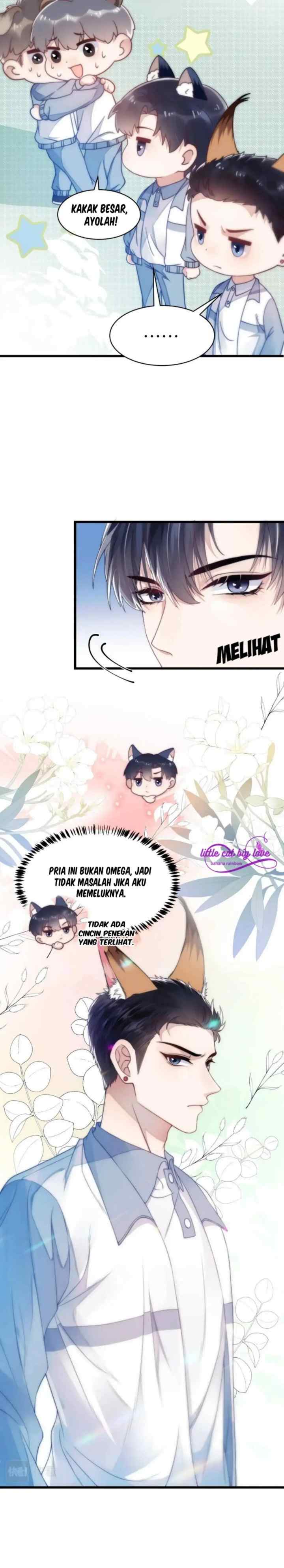 Little Cat Big Love chapter 1 halaman 13