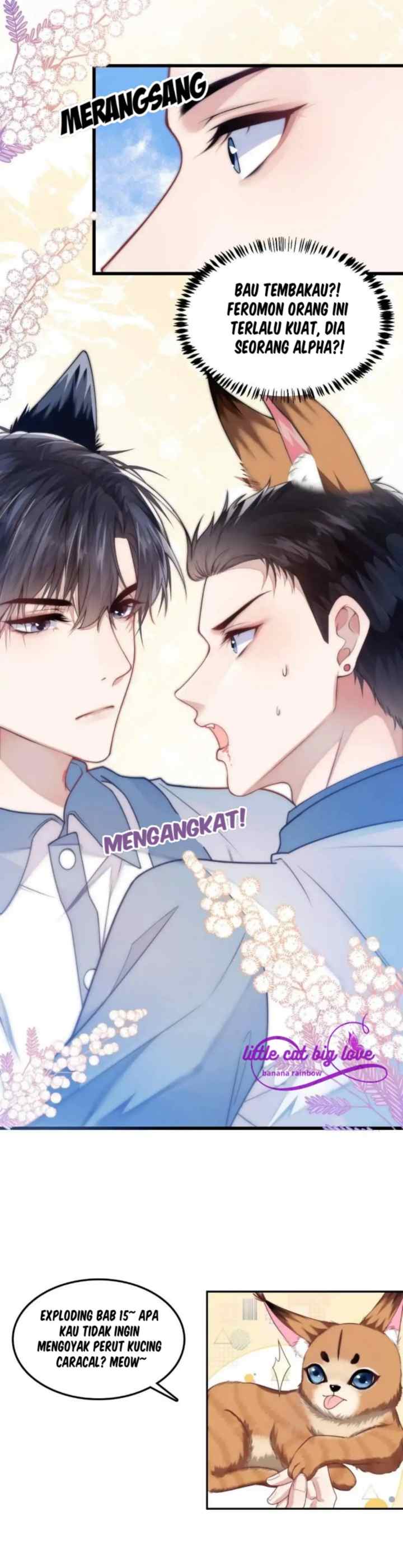 Little Cat Big Love chapter 1 halaman 19