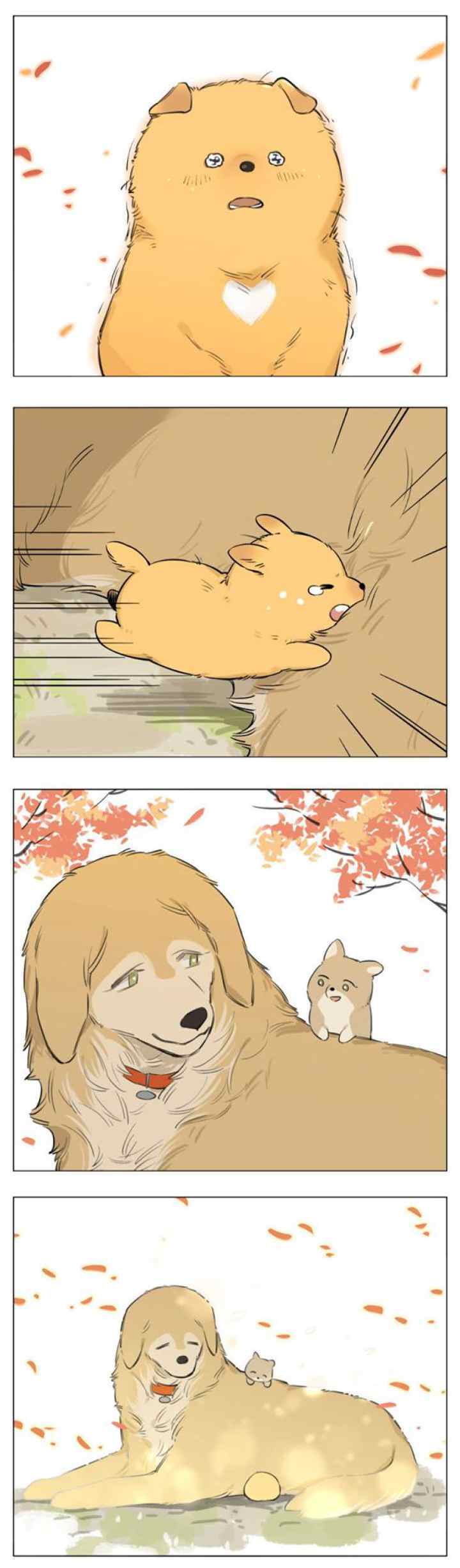 Papa Wolf and the Puppy chapter 13 halaman 11