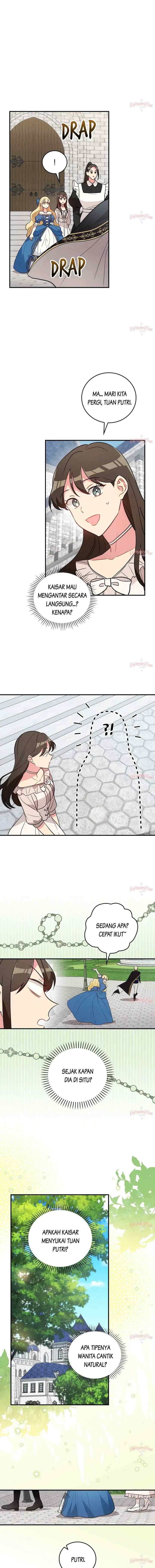 Run Maelle chapter 11 halaman 6