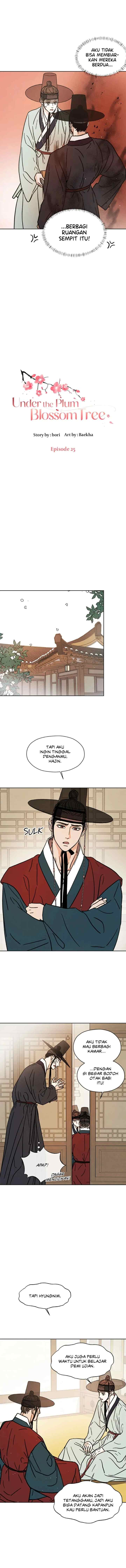 Shade of Plum Blossom chapter 25 halaman 7