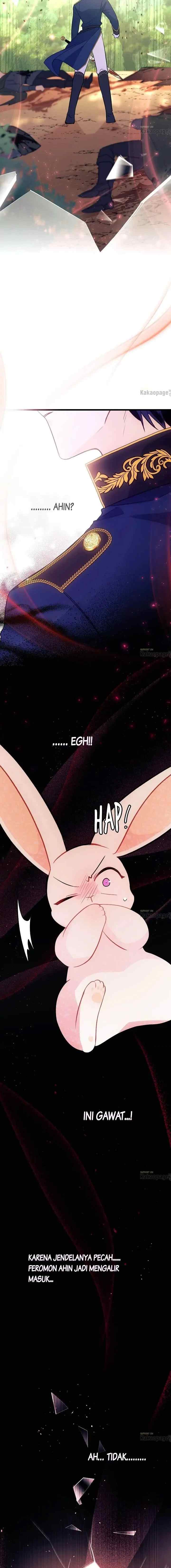 The Symbiotic Relationship Between the Rabbit and the Black Panther chapter 27 halaman 11