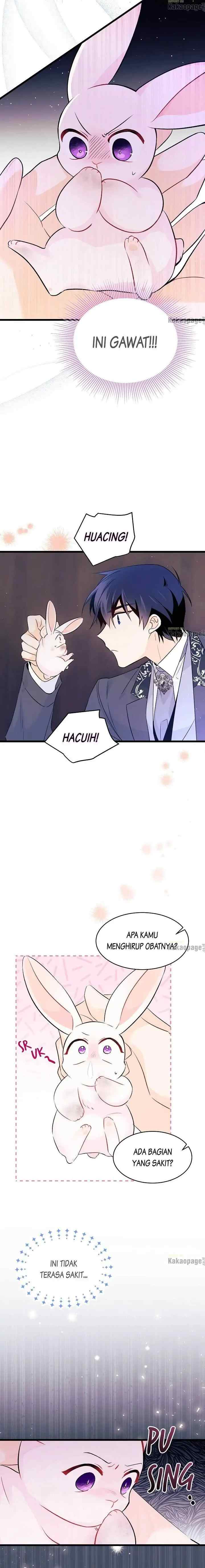 The Symbiotic Relationship Between the Rabbit and the Black Panther chapter 35 halaman 12