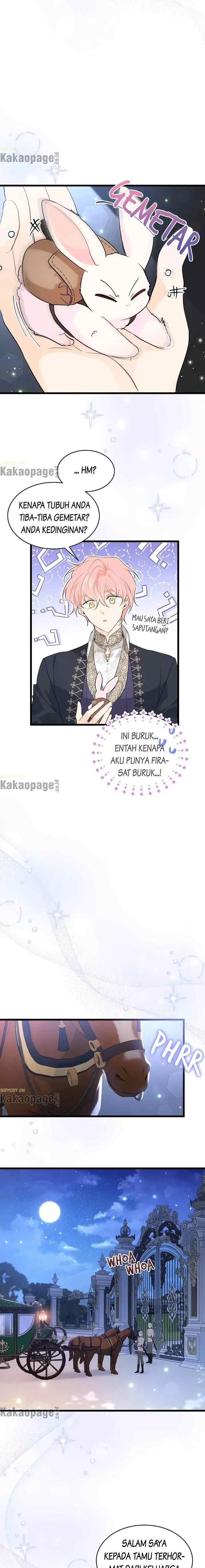 The Symbiotic Relationship Between the Rabbit and the Black Panther chapter 62 halaman 15