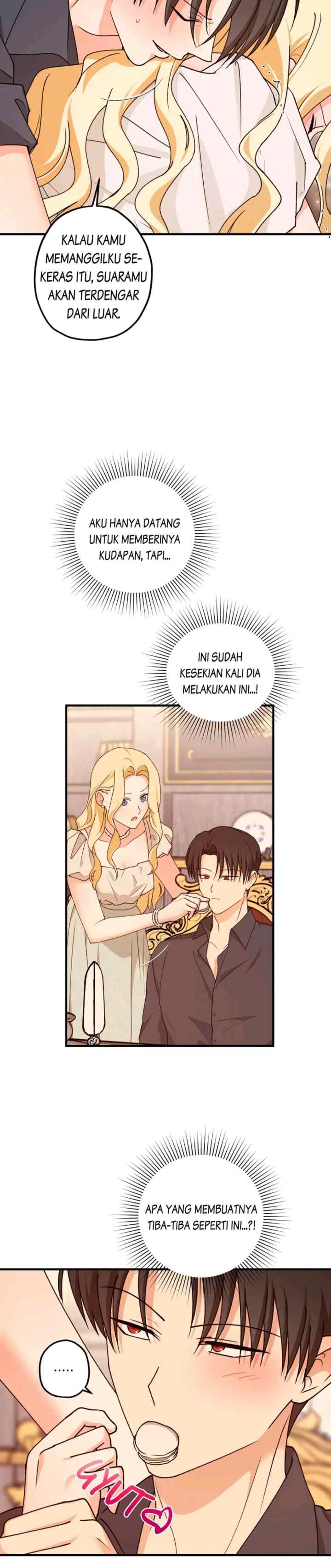 The Tyrant's Comfort Doll chapter 94.5 halaman 5
