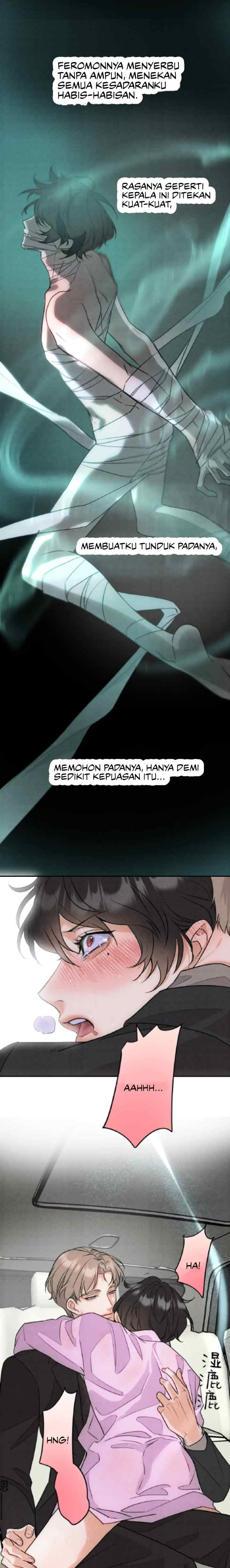 Transmigrating as Mr. Alpha's Golden Goose chapter 10 halaman 11