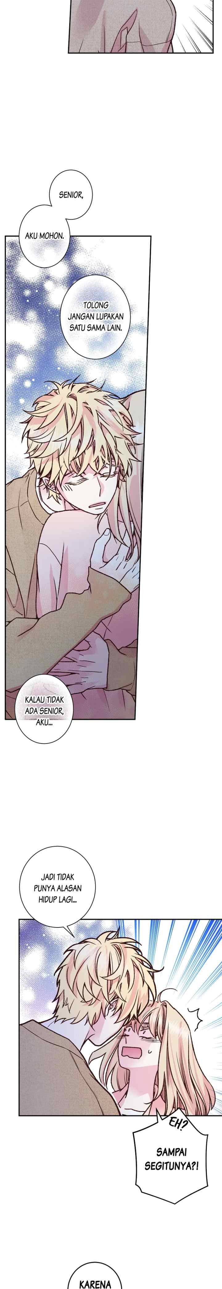 Sora no Shizuku chapter 66 halaman 14