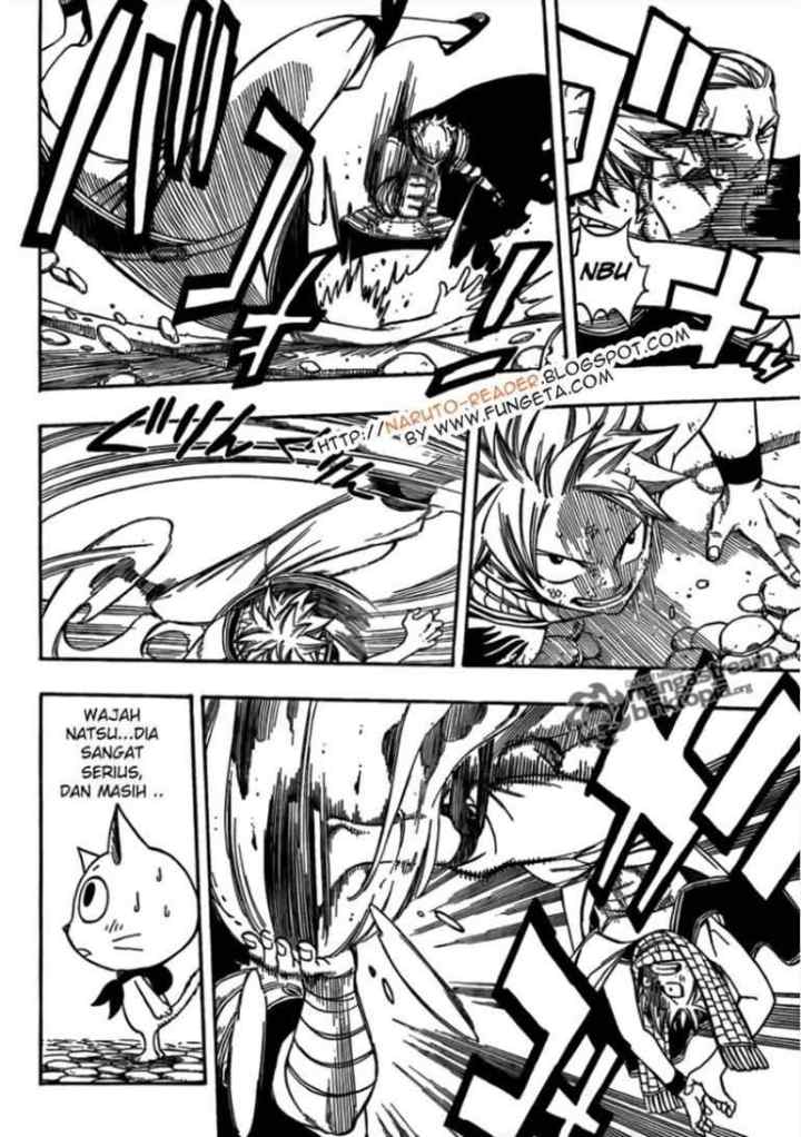 Fairy Tail chapter 205 halaman 13