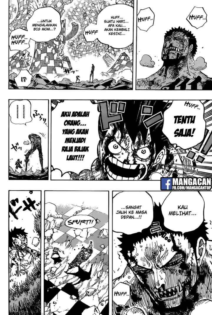 One Piece chapter 896 halaman 14
