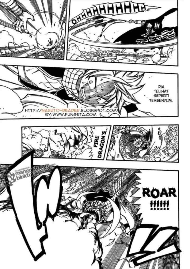 Fairy Tail chapter 205 halaman 14