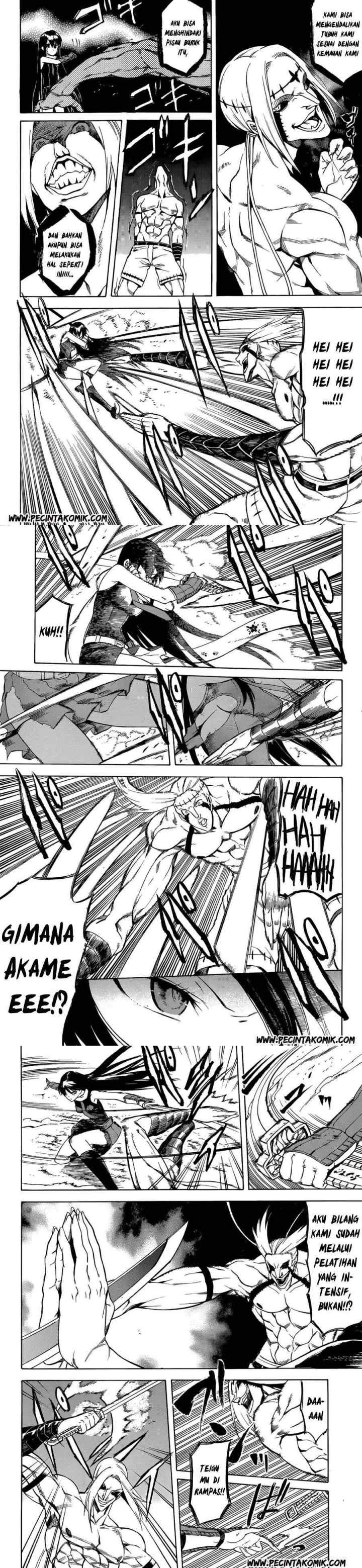 Akame ga Kill! chapter 36 halaman 11