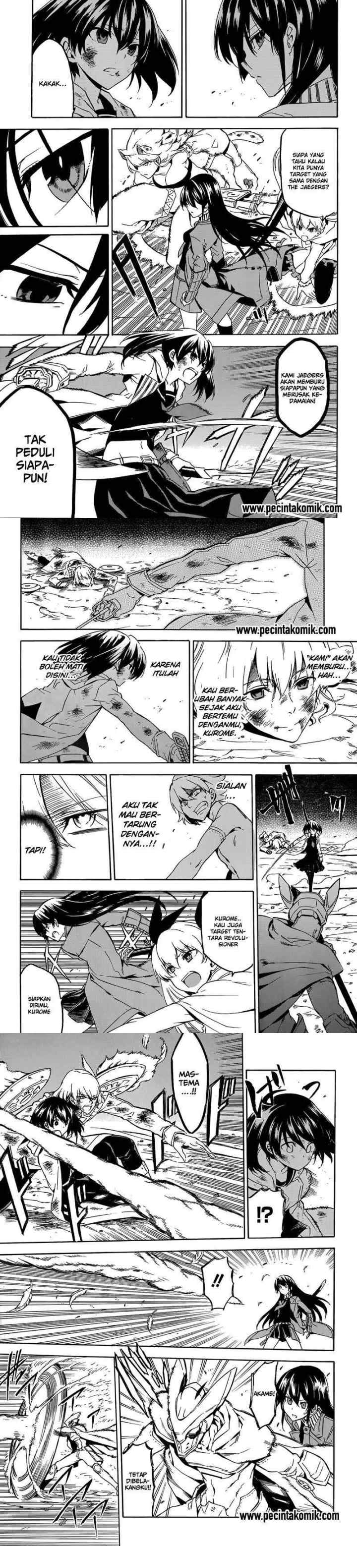 Akame ga Kill! chapter 49 halaman 14
