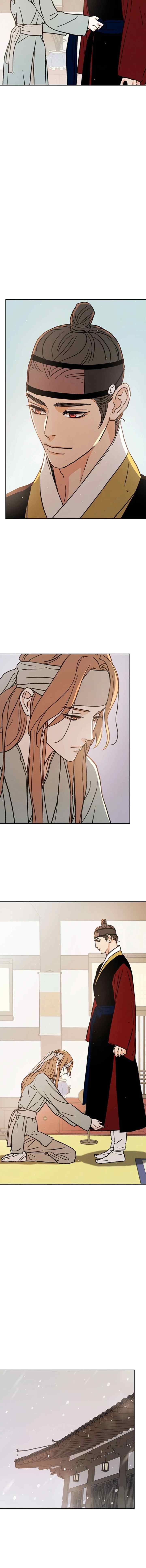 Shade of Plum Blossom chapter 42 halaman 5