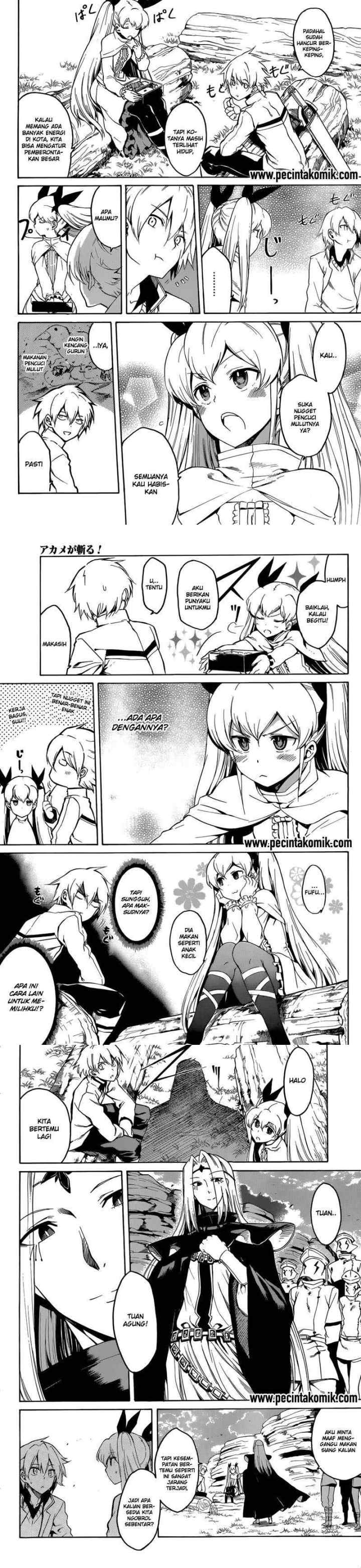 Akame ga Kill! chapter 40 halaman 5