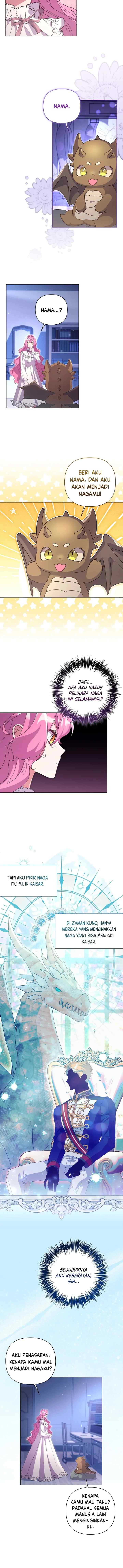 The Obsessive Second Male Lead Has Gone Wild chapter 46 halaman 5