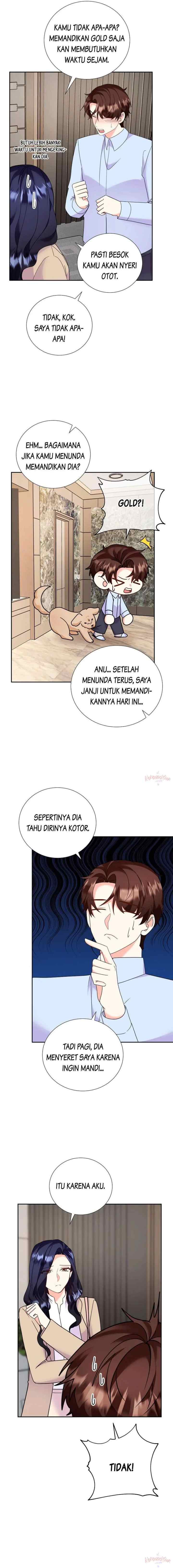 Marriage Agency chapter 32 halaman 11