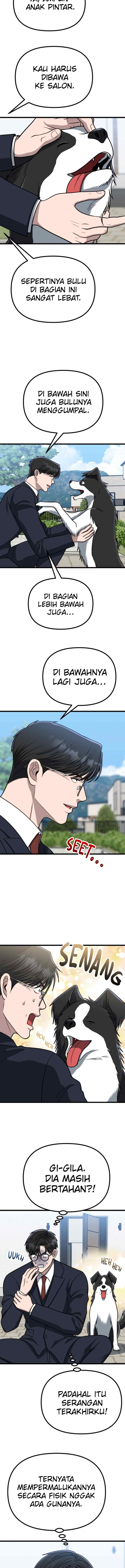Father Like A Dog chapter 52 halaman 14