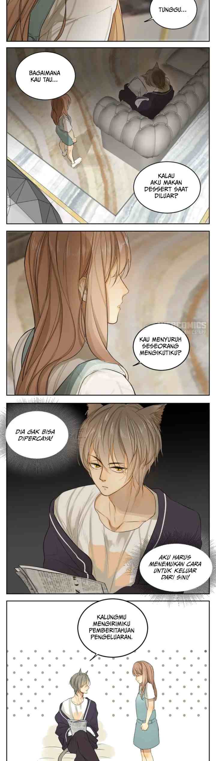 A World Ruled By Cats chapter 13 halaman 5
