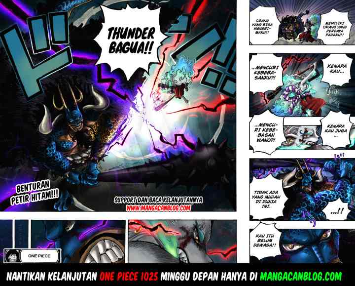 One Piece chapter 1024 halaman 17