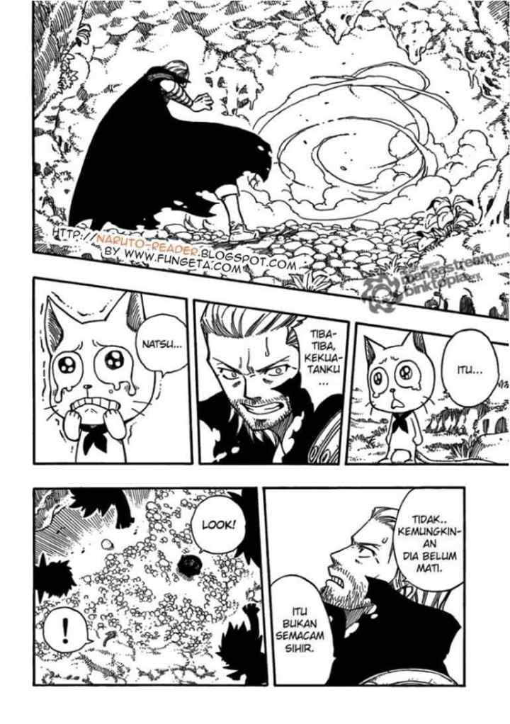 Fairy Tail chapter 205 halaman 17