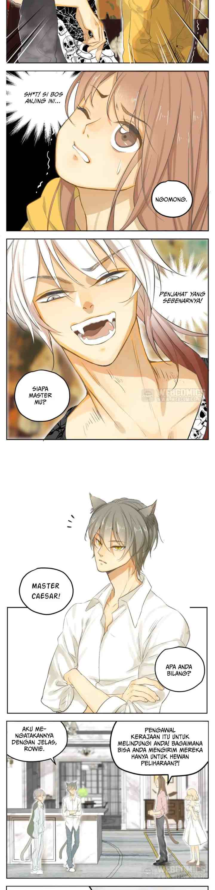 A World Ruled By Cats chapter 19 halaman 4