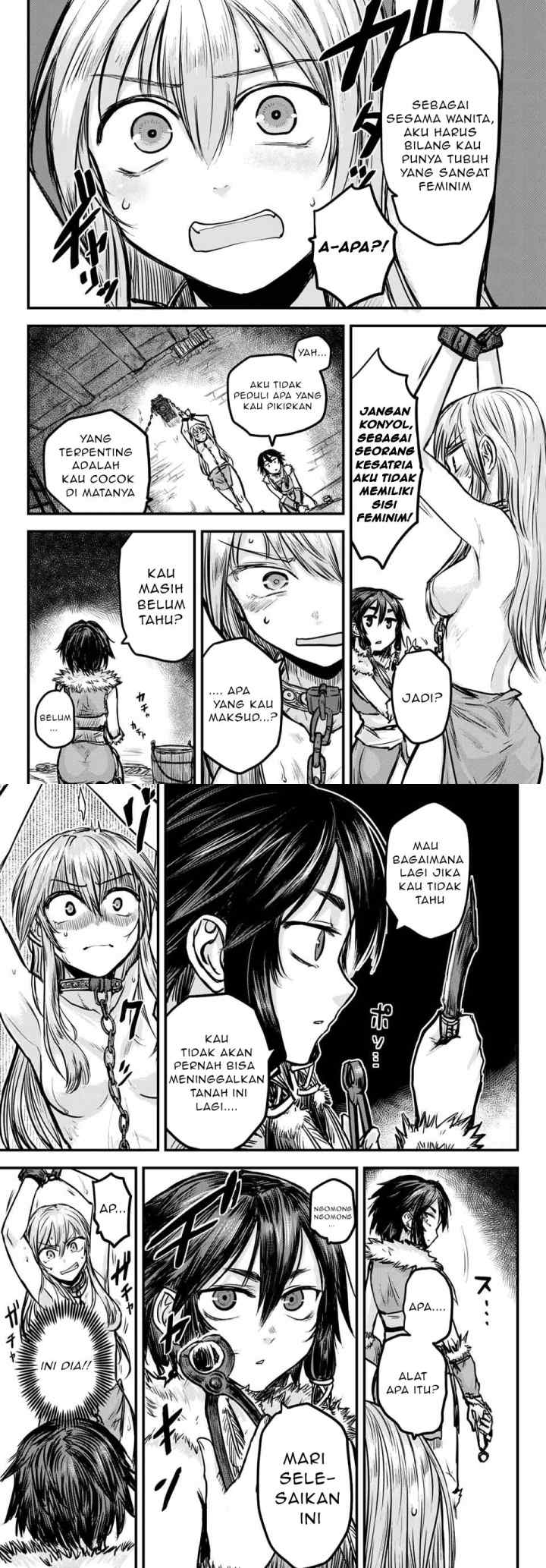 Hime Kishi wa Barbaroi no Yome chapter 1 halaman 11