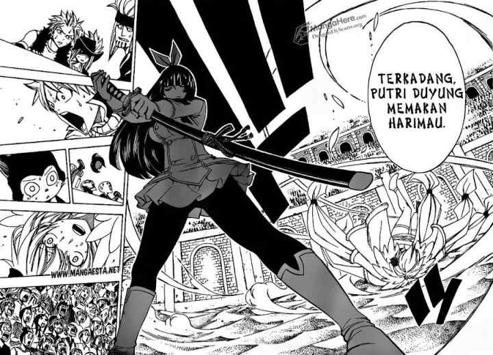 Fairy Tail chapter 280 halaman 17