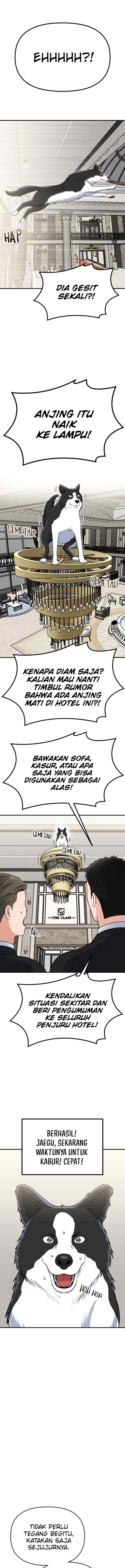 Father Like A Dog chapter 9 halaman 4