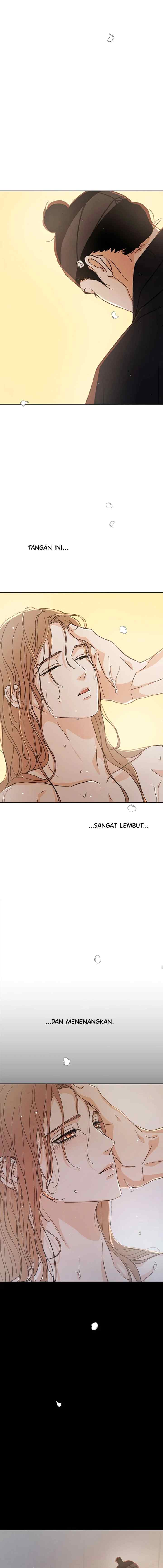 Shade of Plum Blossom chapter 55 halaman 6