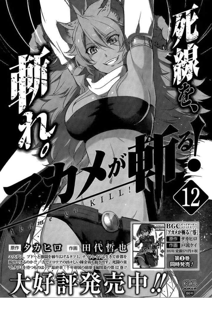 Akame ga Kill! chapter 62 halaman 17