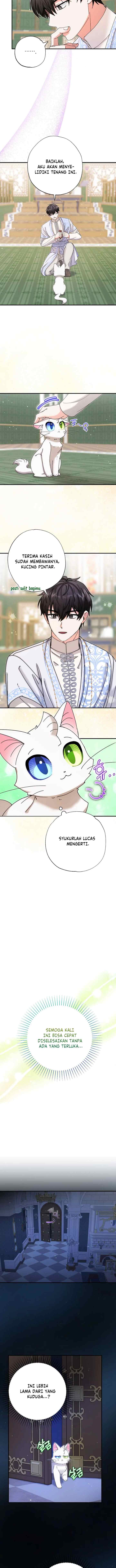 I Became the Emperor's Cat chapter 11 halaman 9