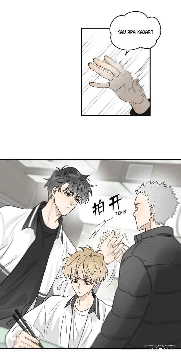 Salt Friend chapter 201 halaman 5